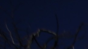OAKLAND, CALIFORNIA - FEBRUARY 21: Oakland Unified School District students, teachers and parent carry signs as they march to the Oakland Unified School District headquarters on February 21, 2019 in Oakland, California. Nearly 3,000 teachers in Oakland have gone on strike and are demanding a 12 percent retroactive raise. (Photo by Justin Sullivan/Getty Images)