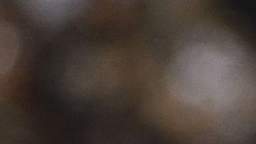 Héctor Moreno y Andrés Guardado en la Selección de México.