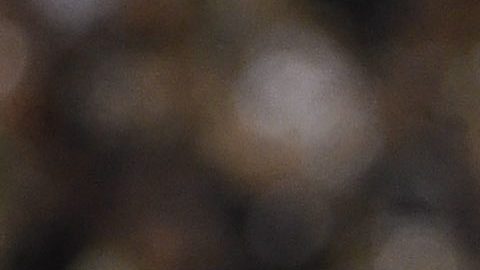 Héctor Moreno y Andrés Guardado en la Selección de México.