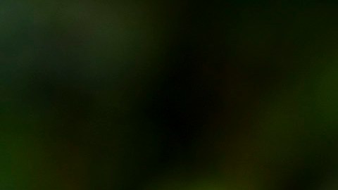 Granada mata a un hombre de Indiana y hiere a 2 niños adolescentes en Indiana