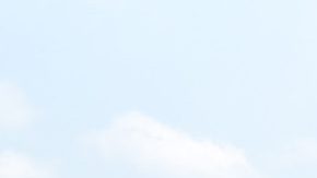 Mueren al menos 26 personas en dramático choque de tráiler y camioneta al norte de México