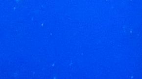 Nuria Diosdado, capitana de la selección mexicana de natación artística.