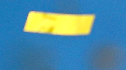 Copa del Mundo femenina se celebrará este año en Australia.