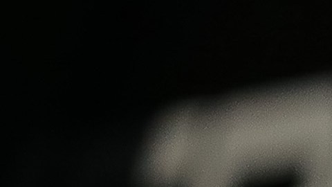 Giovani dos Santos, futbolista mexicano.