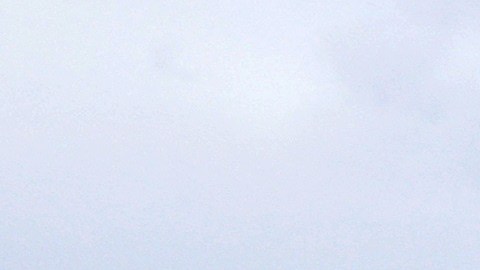 Mujer murió al caer en un río del Parque Nacional Glacier en Montana