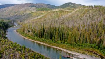 Mujer murió al caer en un río del Parque Nacional Glacier en Montana