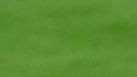 Puig y Messi jugaron juntos en el FC Barcelona.