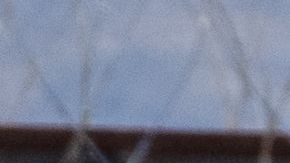 Solicitar asilo es un derecho humano protegido por las leyes de Estados Unidos.