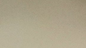 Conductor de un Tesla fue asesinado durante pelea en una estación de carga de Denver