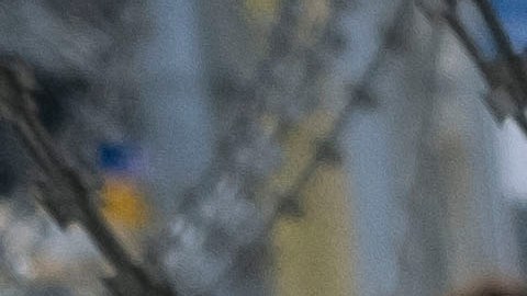 La medida exige más protección para los niños inmigrantes que llegan solos a Estados Unidos.
