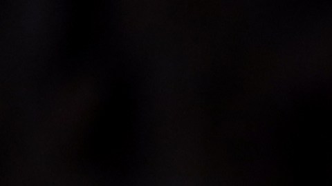 Canelo Álvarez volverá a los campos de golf.