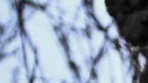 Periodista de AFP Arman Soldin muere bajo ataque de cohetes en Ucrania