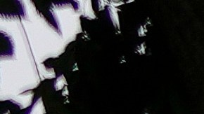 Conductor del camión que se estrelló cerca de la Casa Blanca llevaba una bandera nazi