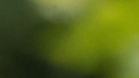 Ucrania: Zelenski alaba a la defensa aérea tras ataque ruso