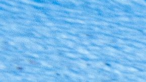 Las medallas fueron obtenidas en las modalidades de equipo técnico mixto, dueto femenil libre, equipo acrobático y dueto mixto libre.