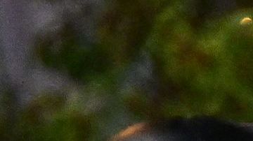 Police officers holding batons and rubber-bullet guns prepare to disperse a crowd of abortion rights activists protesting after the overturning of Roe Vs. Wade by the US Supreme Court, in Downtown Los Angeles, on June 24, 2022. - The US Supreme Court on Friday struck down the right to abortion in a seismic ruling that shredded five decades of constitutional protections and prompted several right-leaning states to impose immediate bans on the procedure. (Photo by Frederic J. BROWN / AFP) (Photo by FREDERIC J. BROWN/AFP via Getty Images)