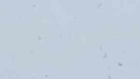 Francia abre pesquisas por crímenes de guerra de Rusia tras muerte de periodista en Ucrania