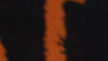 Nueva York relaja sus normas para acoger a personas sin hogar ante la llegada de migrantes