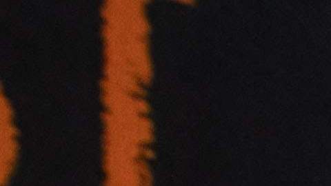 Gobernadora de Nueva York provee a la ciudad $1,000 millones para llegada de emigrantes