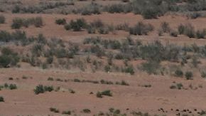 Arizona, California y Nevada logran histórico acuerdo para intentar salvar al río Colorado de la sequía