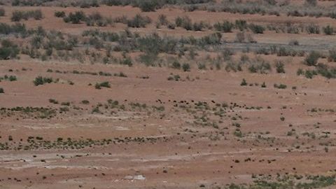 Arizona, California y Nevada logran histórico acuerdo para intentar salvar al río Colorado de la sequía