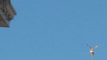 Disney canceló su plan de crear un campus en Florida en medio de la guerra de DeSantis contra la corporación.