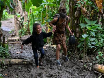 Se multiplica por 8 la cifra de menores migrantes que cruzan la peligrosa selva del Darién
