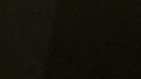 Elon Musk anuncia que abandonará el cargo de gerente de Twitter