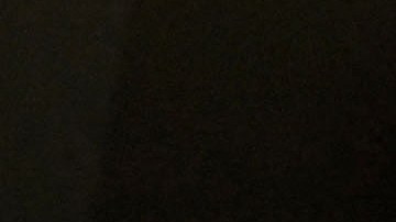 Elon Musk anuncia que abandonará el cargo de gerente de Twitter