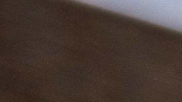 Departamento de Seguridad Nacional alerta que amenazas contra la comunidad LGBTQIA+ se intensifican