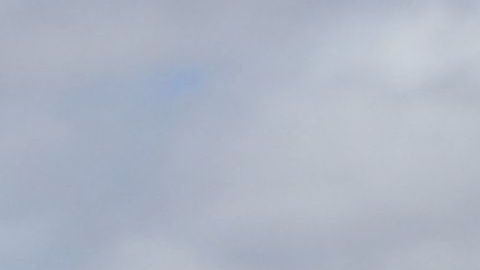 Fin del Título 42: llegada masiva de inmigrantes desborda la frontera sur de EE.UU.