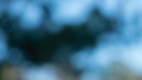 Madre del niño de 6 años que le disparó a la maestra de Virginia dice que su hijo sufre un trastorno mental