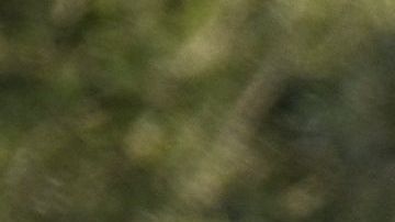 A detective walks at the scene of an investigation after an early morning shooting that left three people dead and four wounded in the Beverly Crest neighborhood of Los Angeles, just north of Beverly Hills, on January 28, 2023. - Three people were shot dead January 28 and four others injured at a luxury home near Beverly Hills, at what US police described as a gathering at a short-term rental property. (Photo by Robyn BECK / AFP) (Photo by ROBYN BECK/ AFP/AFP via Getty Images)
