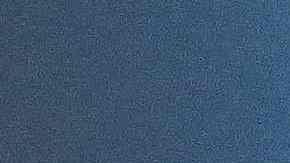 Perro en Japón se convierte en héroe al salvar vida de hombre que sufría infarto