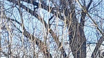 Otras ocho mujeres demandan a Texas por su ley antiaborto luego de que sus vidas estuvieron en peligro