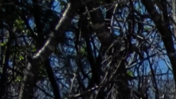 Padres piden no divulgar los escritos de la autora del tiroteo en The Covenant School en Nashville