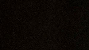 El objetivo de Sergio Gonzales consiste en reforzar la imagen de Kamala Harris ante los electores de origen latino