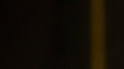 El objetivo de Sergio Gonzales consiste en reforzar la imagen de Kamala Harris ante los electores de origen latino