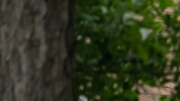 Francisco Oropesa acribilló a cinco miembros de una familia en Texas.