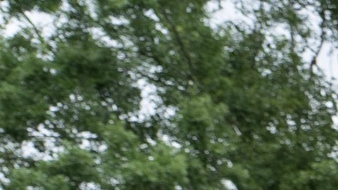 "Cuando mi esposa estaba agonizando, me dijo que me tirara por la ventana": el padre hondureño que perdió a su mujer y un hijo en un tiroteo en Texas