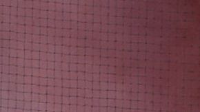 Los fanáticos protestaron por el mal momento del Groningen.