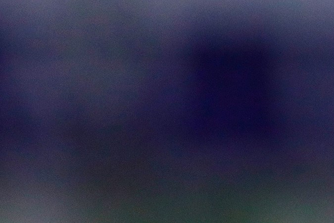 Diego Lainez, jugador de Tigres de la UANL en la Liga MX.