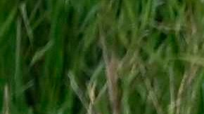 Inmigrantes intentan llegar a EE.UU. desde Matamoros, estado de Tamaulipas, México, el 10 de mayo de 2023.