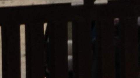 ¿Qué hará México con los miles de migrantes en su territorio?