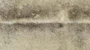 Santiago Giménez (con el micrófono) celebra el título con sus compañeros en un balcón de la Plaza Hofplein, de Róterdam, momentos antes de desprenderse de su saco.