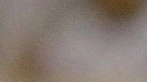 Aficionados tras estampida en El Salvador.