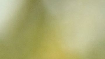 British model Naomi Campbell arrives for the screening of the film "Firebrand" during the 76th edition of the Cannes Film Festival in Cannes, southern France, on May 21, 2023. (Photo by Patricia DE MELO MOREIRA / AFP) (Photo by PATRICIA DE MELO MOREIRA/AFP via Getty Images)