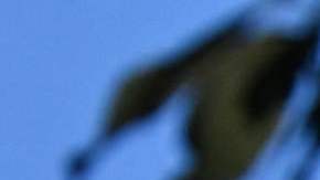 El acuerdo pone fin a la amenaza de incumplimiento por parte de la economía más grande del mundo.