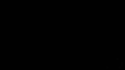 Dos detenidos por el tiroteo que dejó 9 heridos en playa de Florida