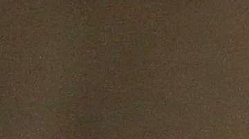 MONTEREY PARK, CALIFORNIA - AUGUST 21: Graduates of Los Angeles County Sheriff's Department Academy Class 451 stand for the pledge of allegiance at their graduation ceremony at East Los Angeles College amid the COVID-19 pandemic on August 21, 2020 in Monterey Park, California. Graduates were seated with social distancing and family members were not allowed inside the ceremony due to restrictions in place to prevent the spread of the coronavirus. (Photo by Mario Tama/Getty Images)